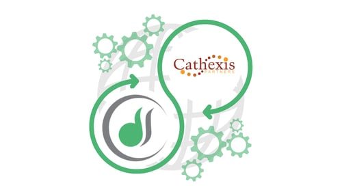 Cathexis Partners