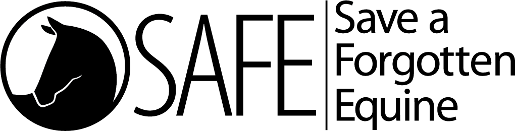SAFE_Logo_Horiz_Black_Header