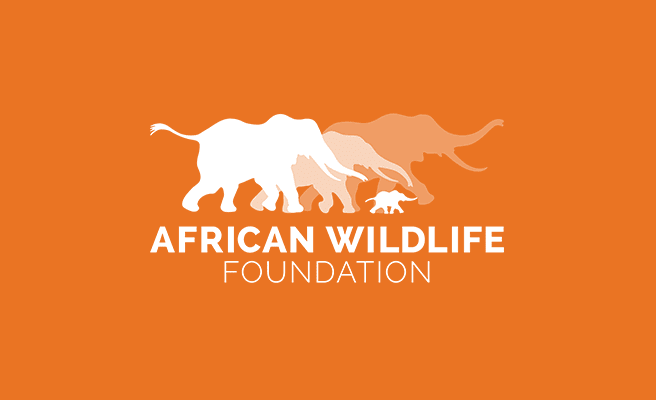 african wildlife foundation